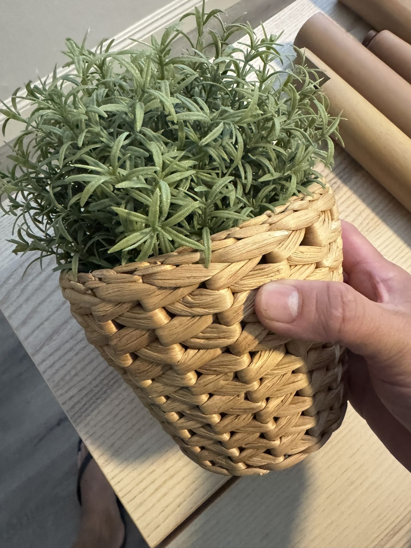 Plants