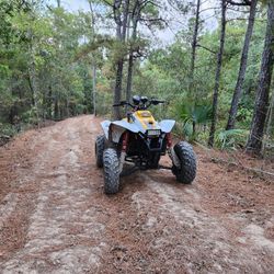 1999 Polaris Trailblazer 250