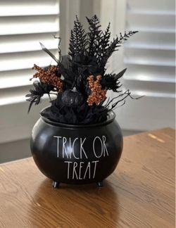 $45 - Rae Dunn TRICK OR TREAT large cauldron decor. Measures 7.5” x 8”, with arrangement it’s 18” tall. Please pickup in the area of 36th Ave and Pi