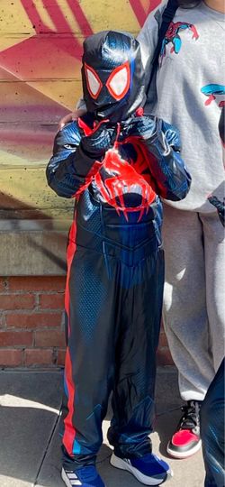 Boys Spiderman Halloween Costume