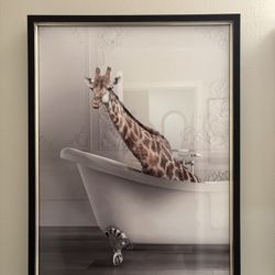 Bathroom Frames 
