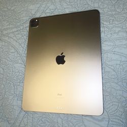 iPad Pro (12.9 inch) (4th generation)(Wi-Fi)