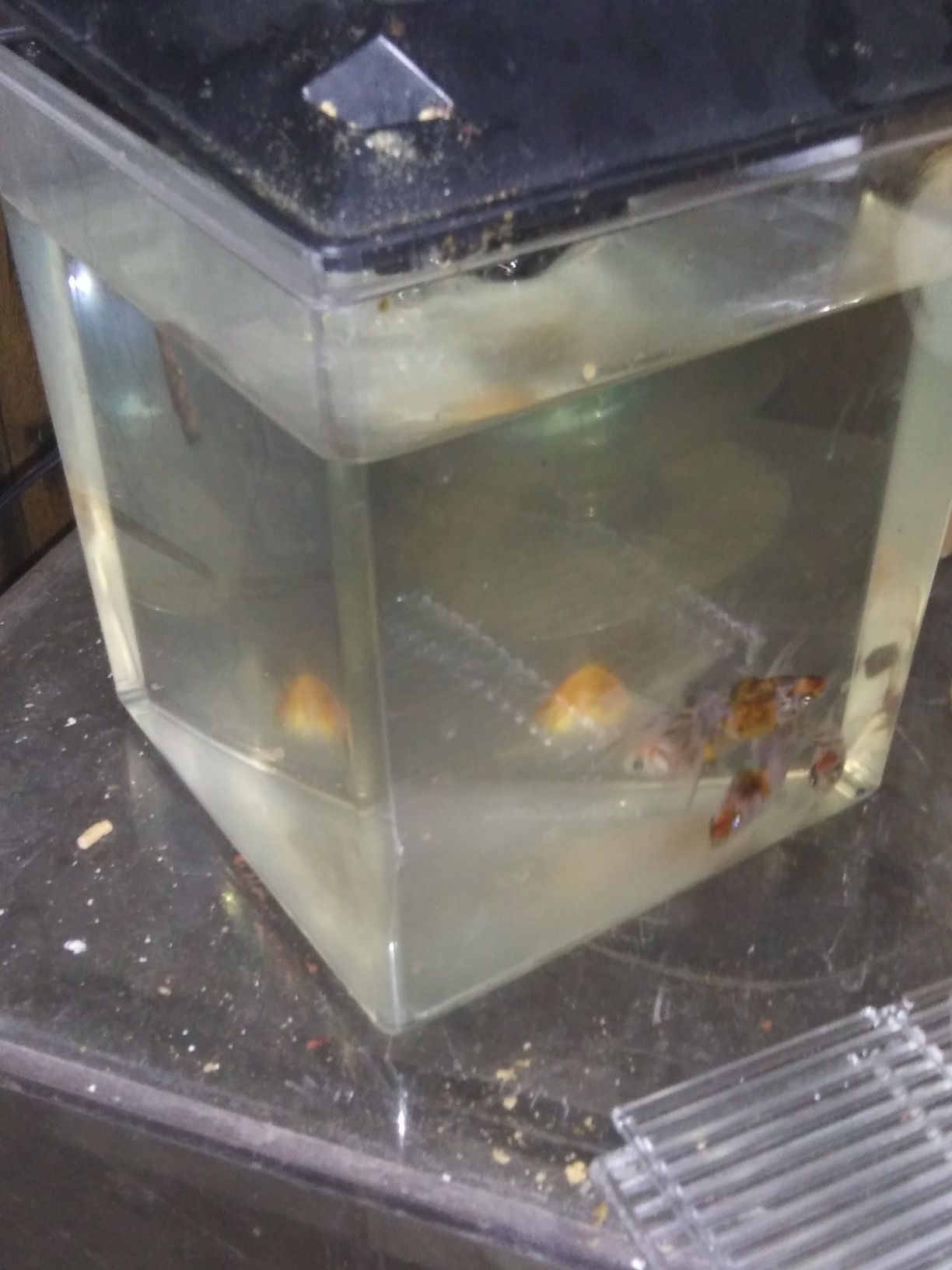 Aquarium