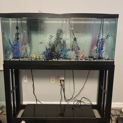 55 Gallon Fish Tank 