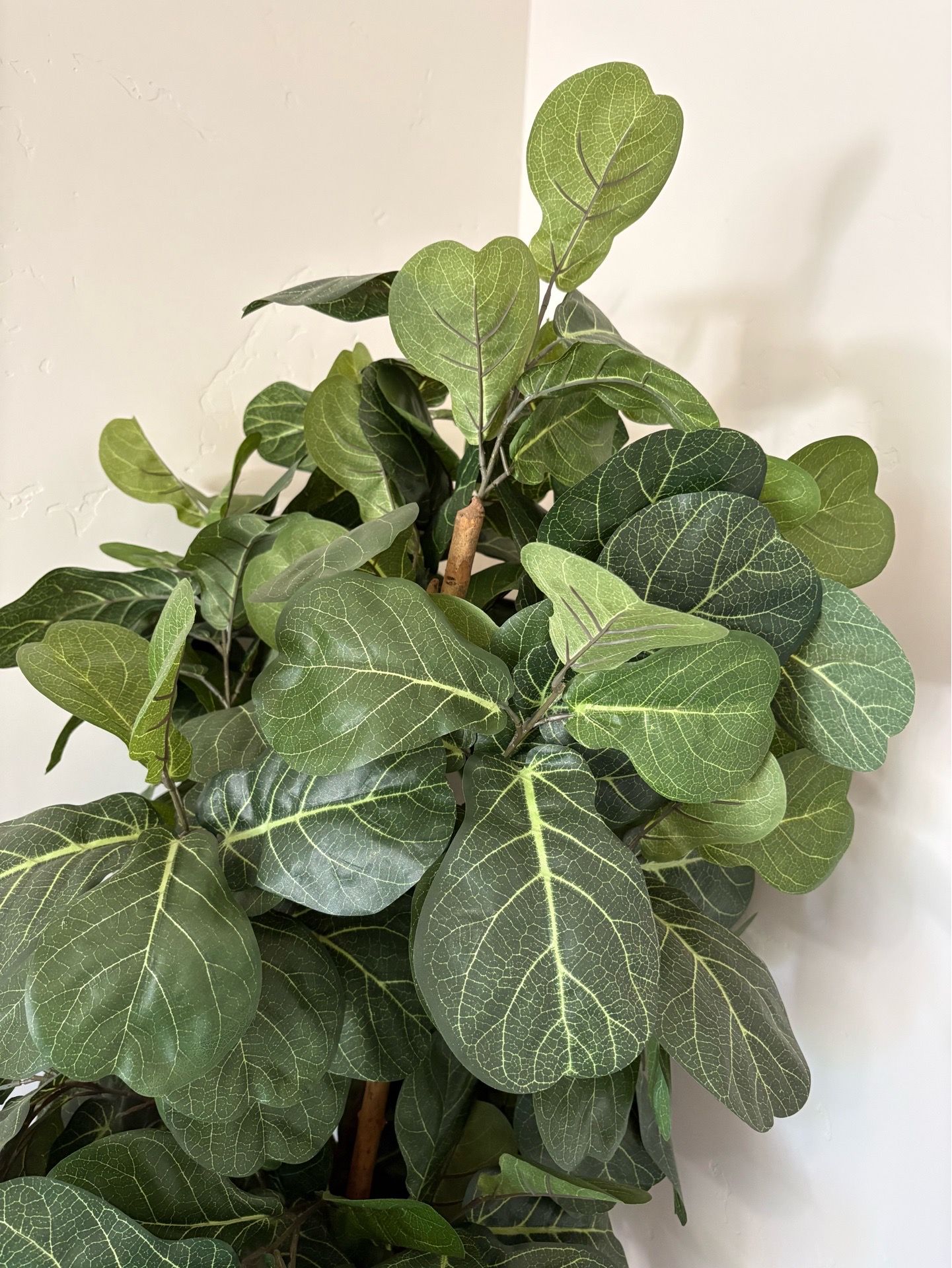 Artificial Fiddle Leaf Fig Tree (3)