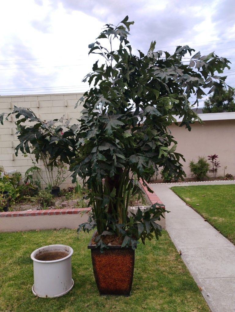 Artificial Plant And A White Pot For Plants
