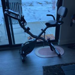 Batwing Stationary Exercise Bike