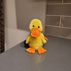 Ty Beanie Baby: Quackers the Duck | Stuffed Animal