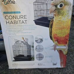 Bird Cage