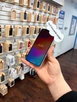 🧾 iPhone 13 Blowout Sale – Starting at Just $279