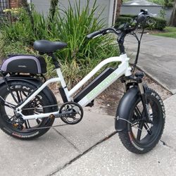 Electric Bicycle 