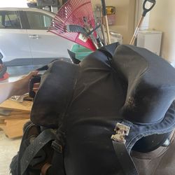 Buddy Saddle for Horse Riding 