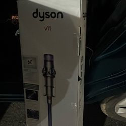 Dyson V11 