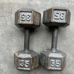 35lb Dumbells 