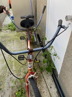 Pro Spirit Two Person Bike