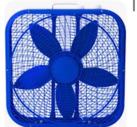 Fan