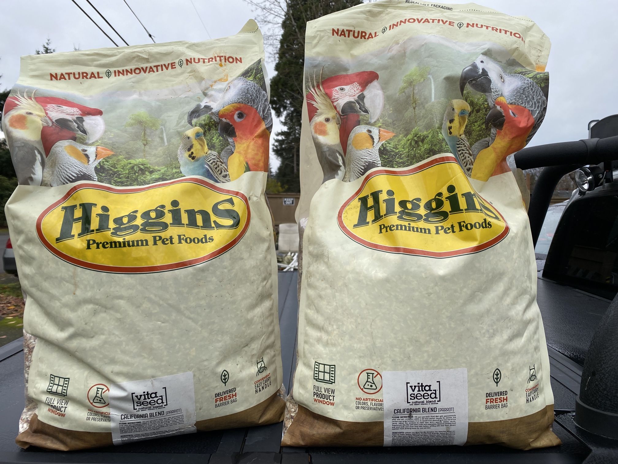 Higgins Premium Pet Foods Safflower Gold for Conures, Cockatiels & Lovebirds, 50lbs (2 Bags ) 