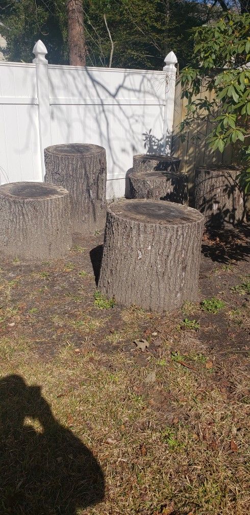 Oak Wood Stumps