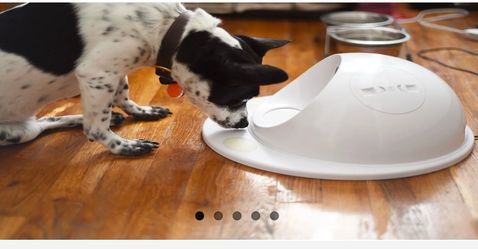 CleverPet Hub - Smart Dog Puzzle Console (Excellent Condition)
