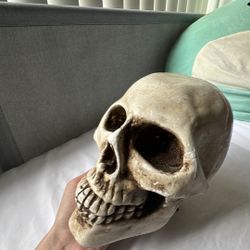 Ceramic Skull
