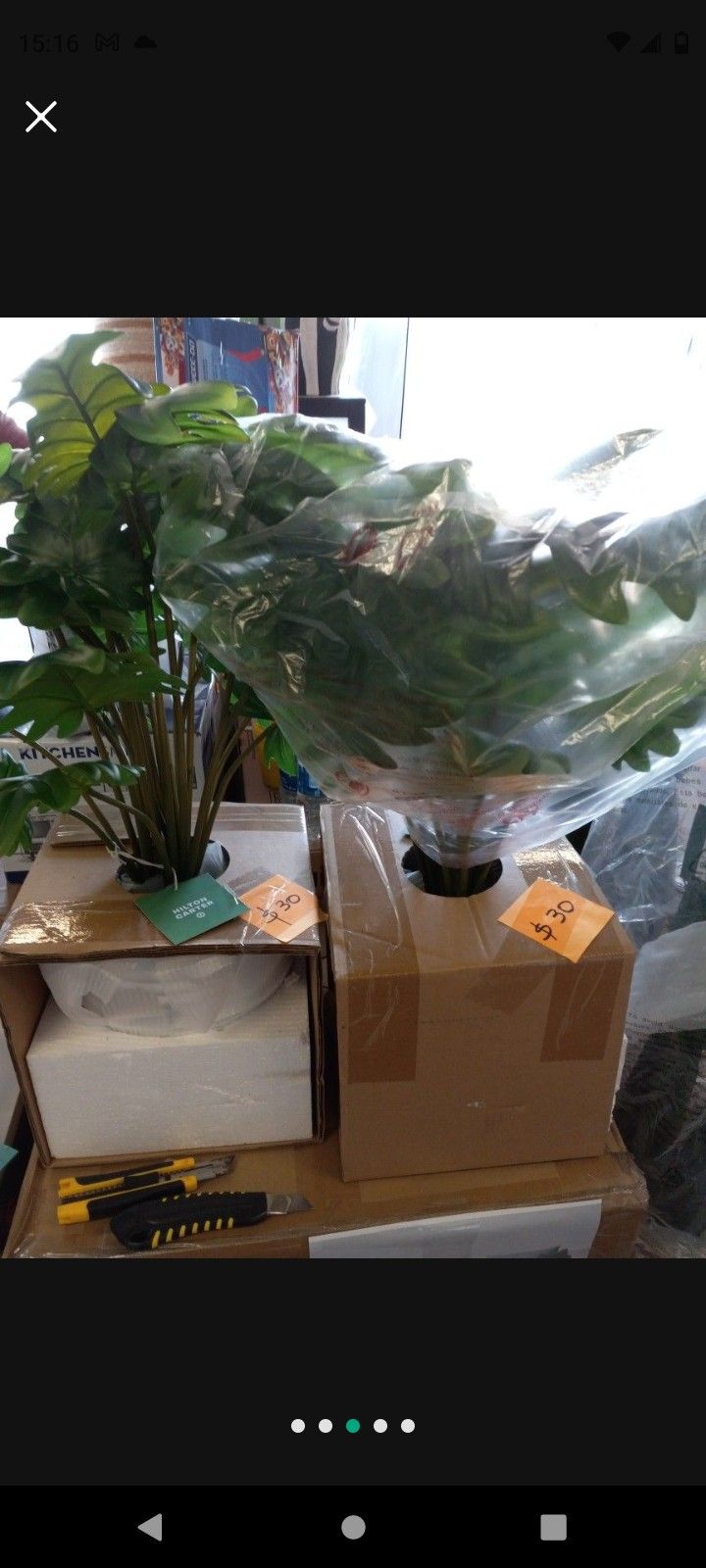 Brand New Artificial Plants // Price Starts At$15