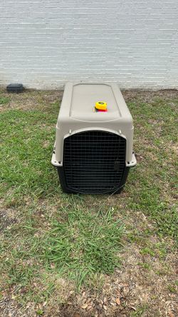 Dog Kennel