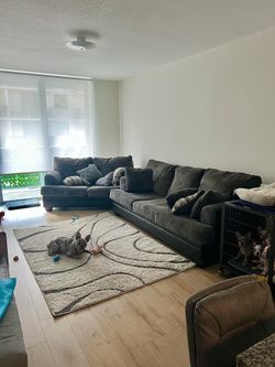 Couch has to go today!