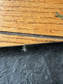 Ionic Dynamics Nissan Maxima Side Skirts Carbon Fiber 97-99