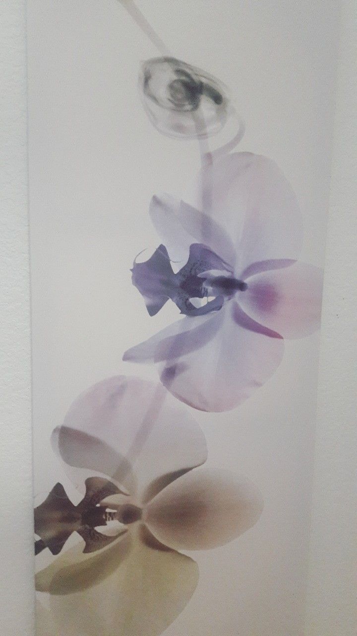 Canvas Painting