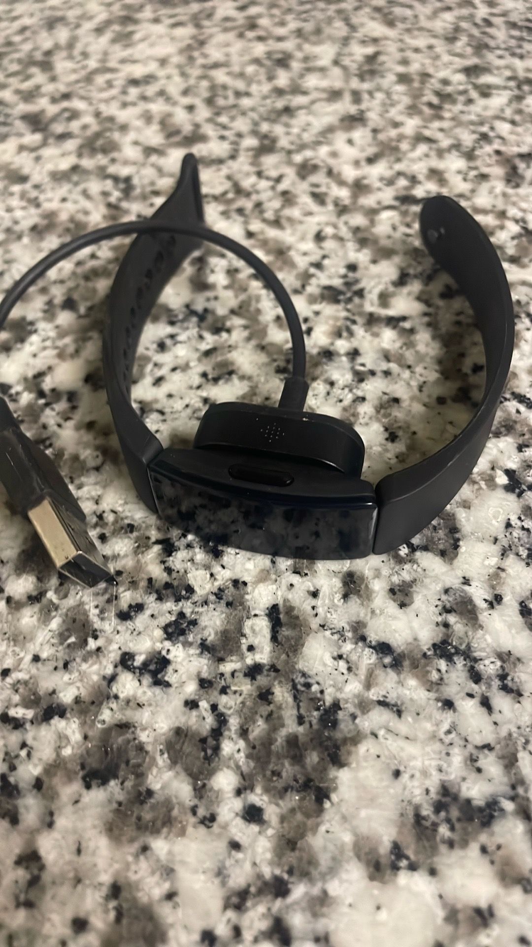 Fitbit 1