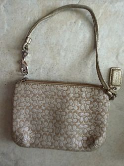 small coach Purse