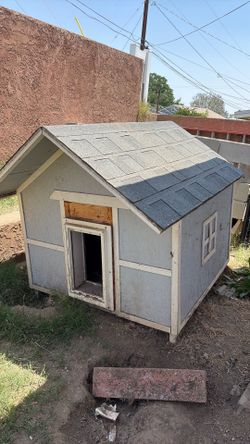 Large dog house
