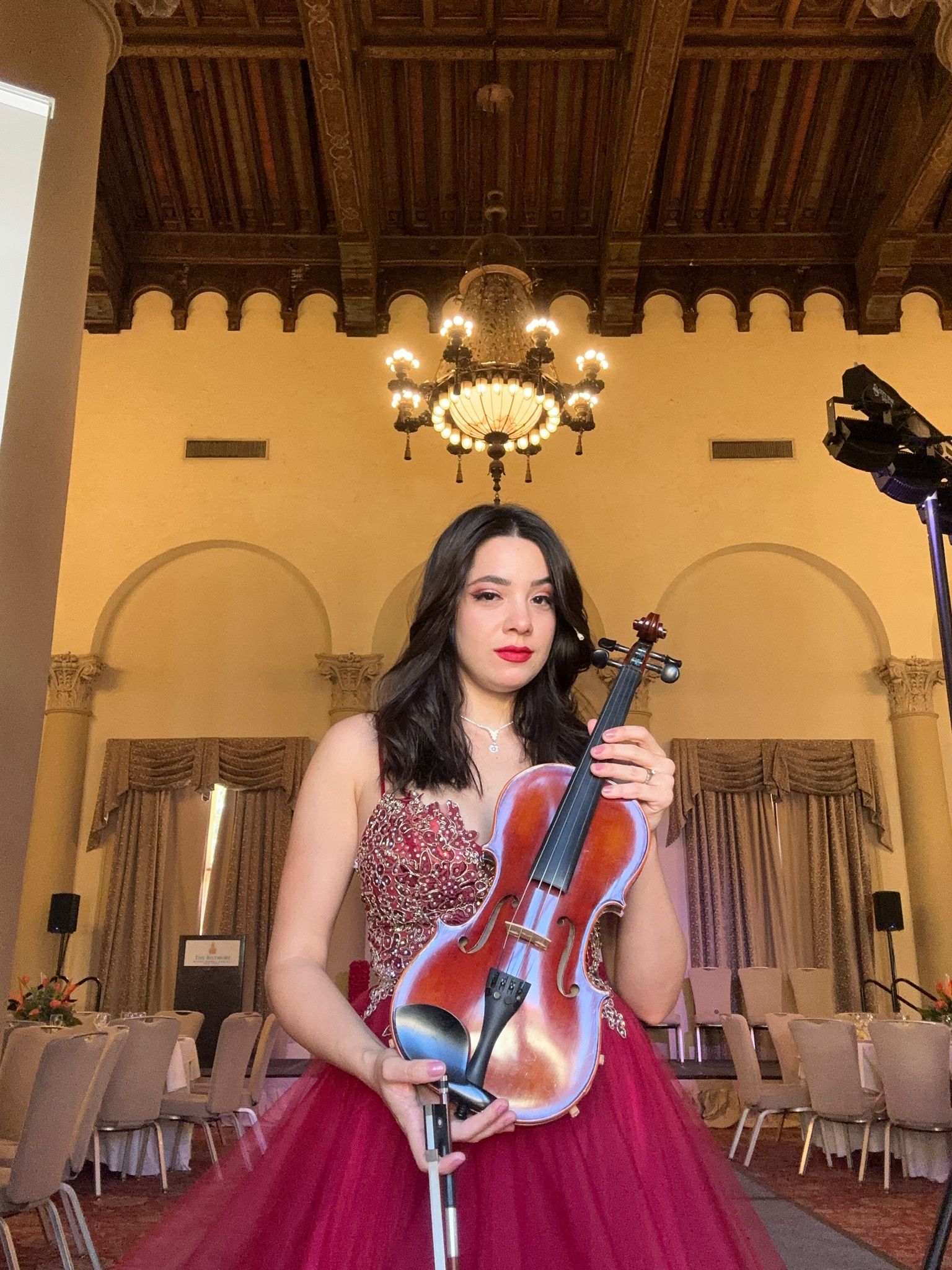 Violinist For Events