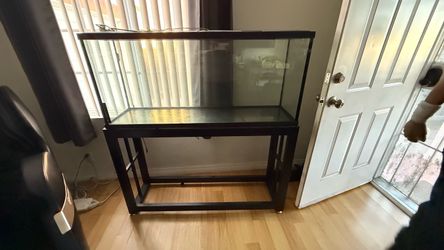 Fish aquarium