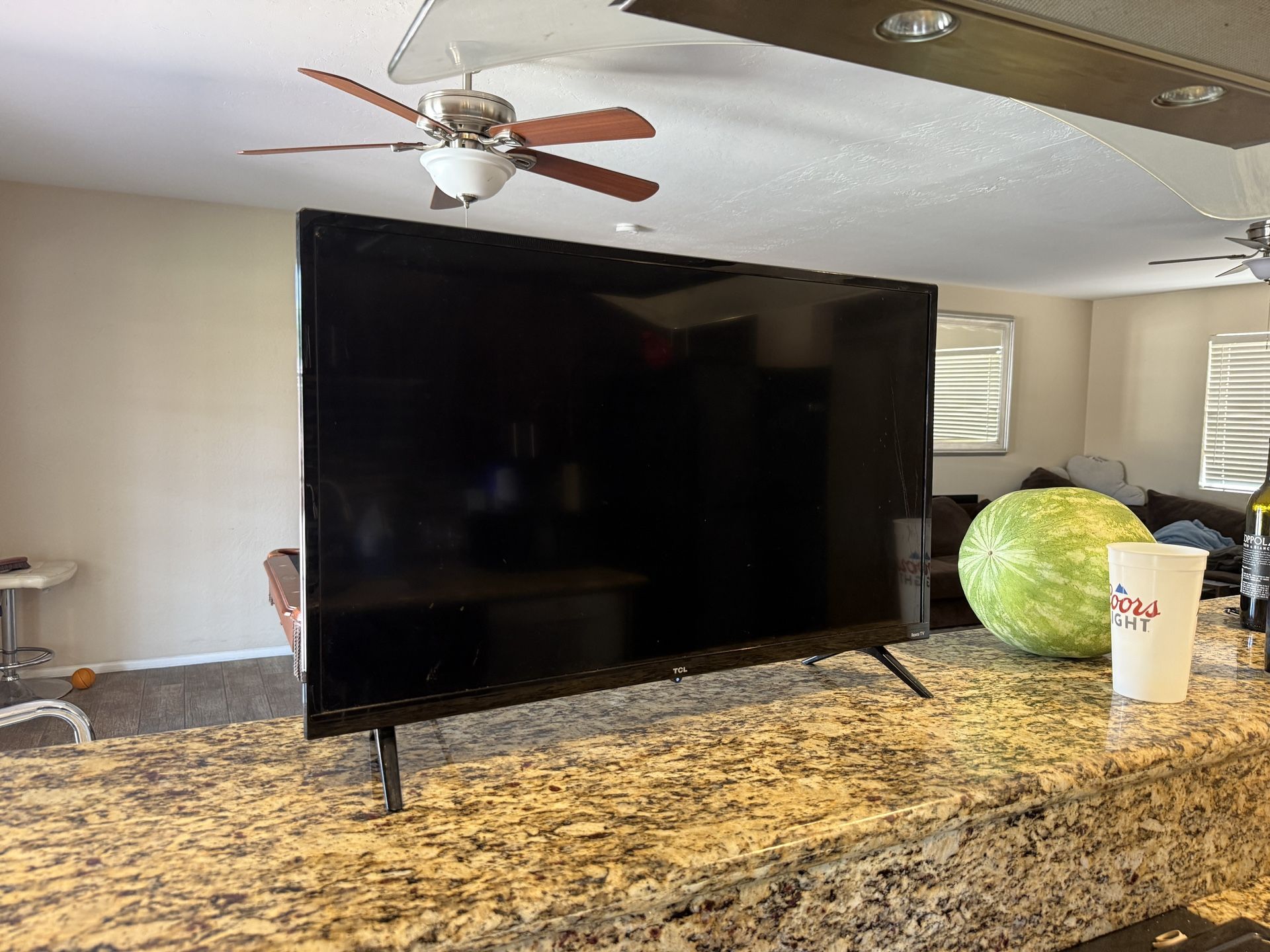 32 Inch TCL Roku TV