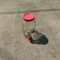 Aladdin Cold Beverage Mason Jar