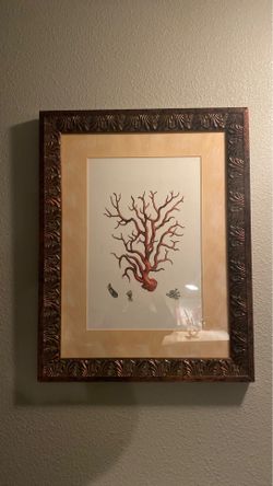 Beautiful Custom Frame Wall Art Coral