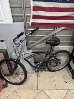 Bicycle cruiser
