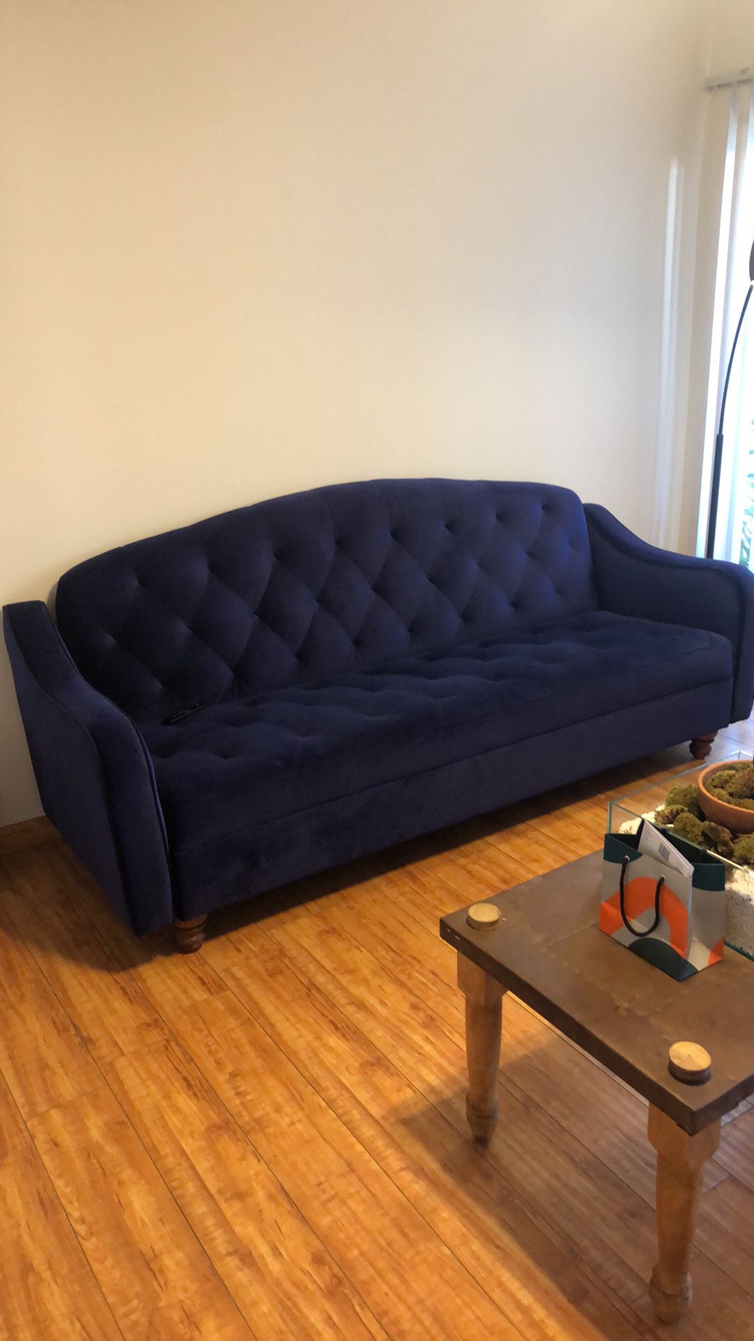 Blue Velvet Urban Outfitters Sleeper Sofa with storage