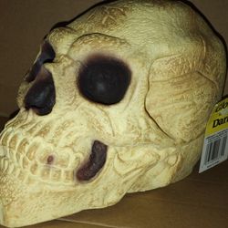 Vtg 7"x10"  Easter Unlimited Foam Rubber Skull Glows in the dark Halloween Prop