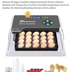 Incubator 