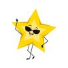 Blissful Star  ⭐️