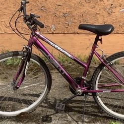 Next Elevation Mountain Bike