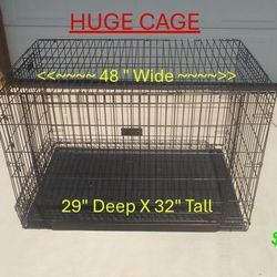 Huge Dog Cage - Crate - 48" Wide X 29" Deep X 32" Tall - $80
