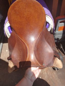 Horse Saddle