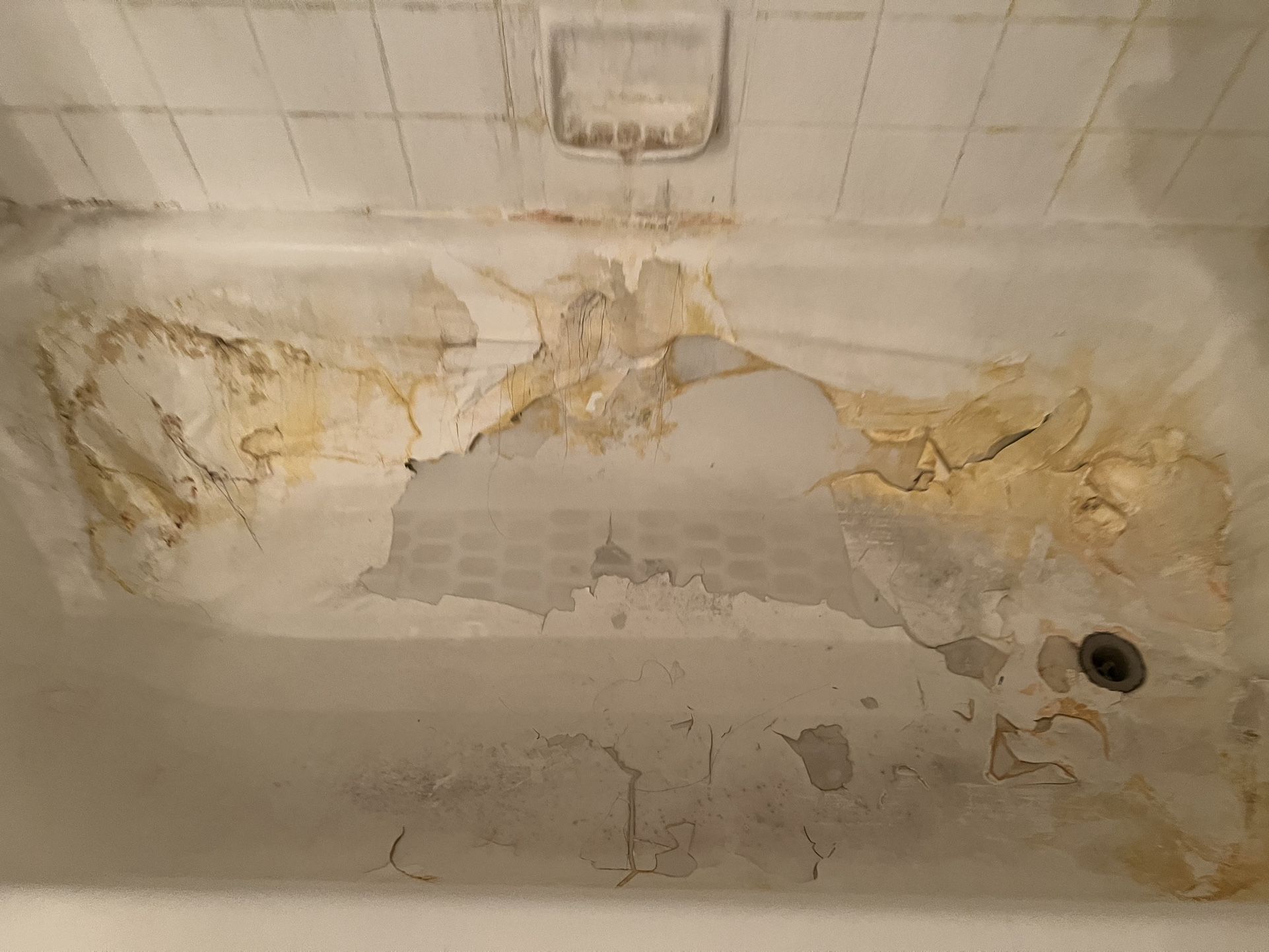 Bathtub