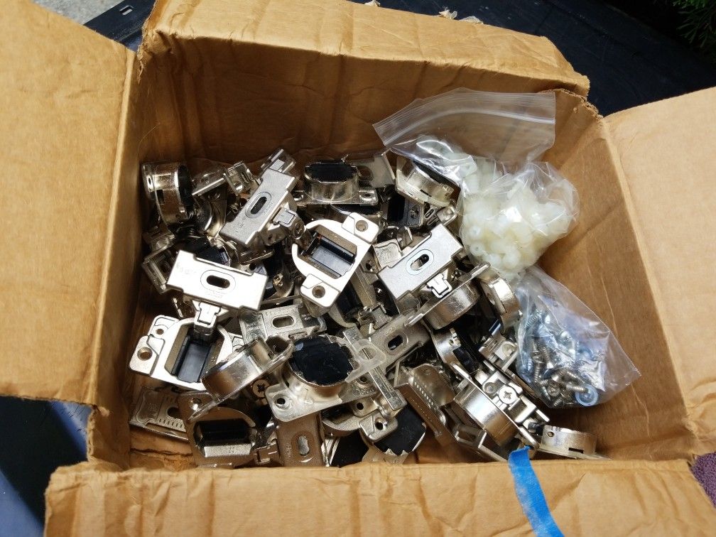Cabinet Hinges (40)