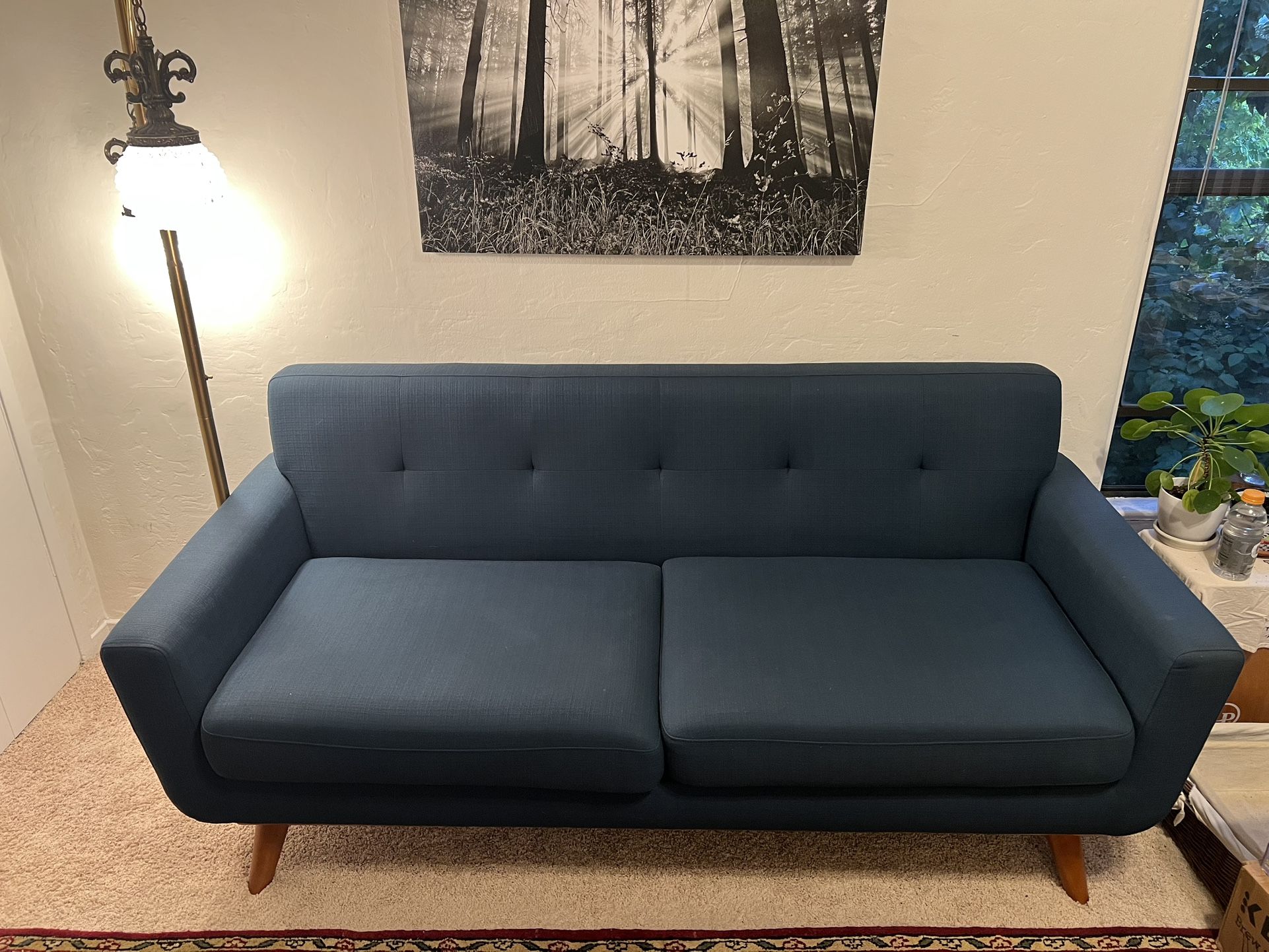 Mid-Century Modern Sofa $150