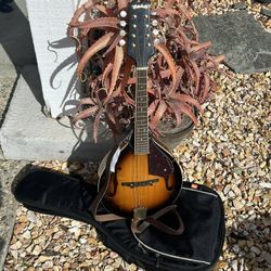 Great 😌 Mitchell AM100VS A-Style Mandolin Vintage Sunburst