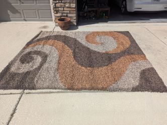 Area Rug with liner